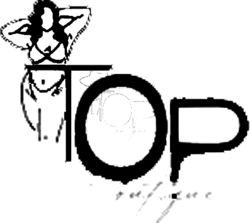 Over the Top Boutique logo