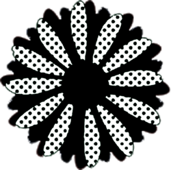 The Funky Daisy logo