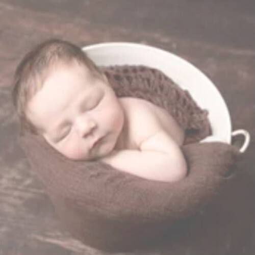 Nature's Breeze Photography banner