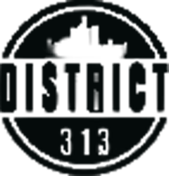 District 313 Apparel logo