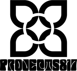 Projects817 logo