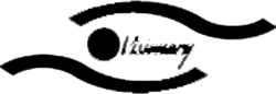 Perfectly Visionary logo