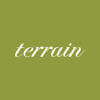 TERRAIN logo