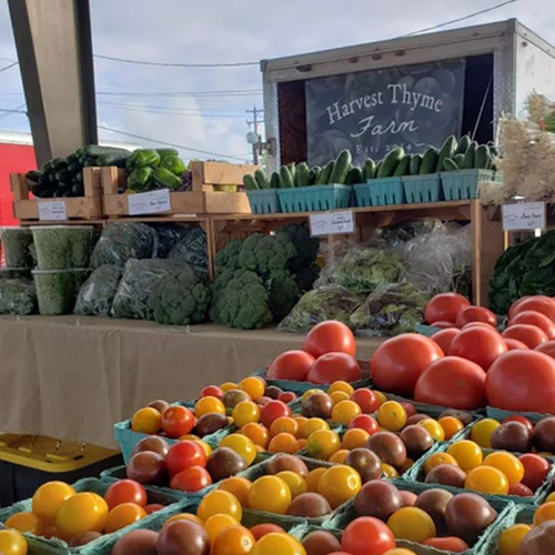 Harvest Thyme Farm & Vineyards banner