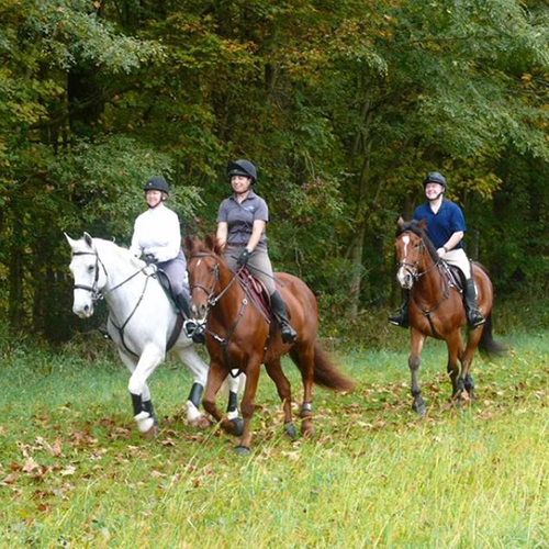 The Old Chatham Hunt Club Events banner